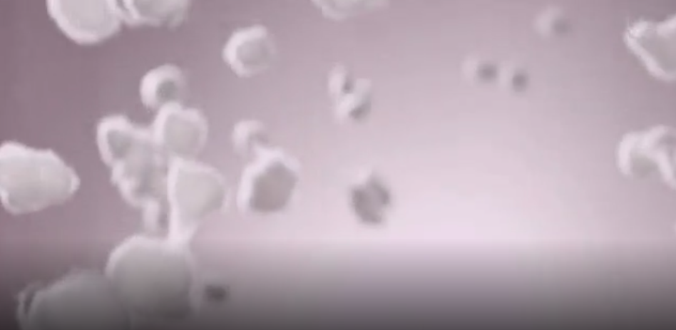 w66國際絨柔暖型內衣