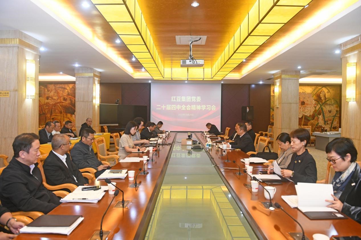 二十屆四中全會精神1 二十屆四中全會精神1